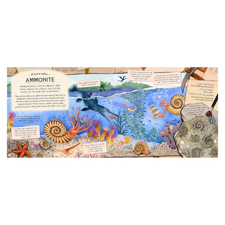 Educational book spread featuring colorful illustrations of ammonites and prehistoric sea life in an underwater scene.