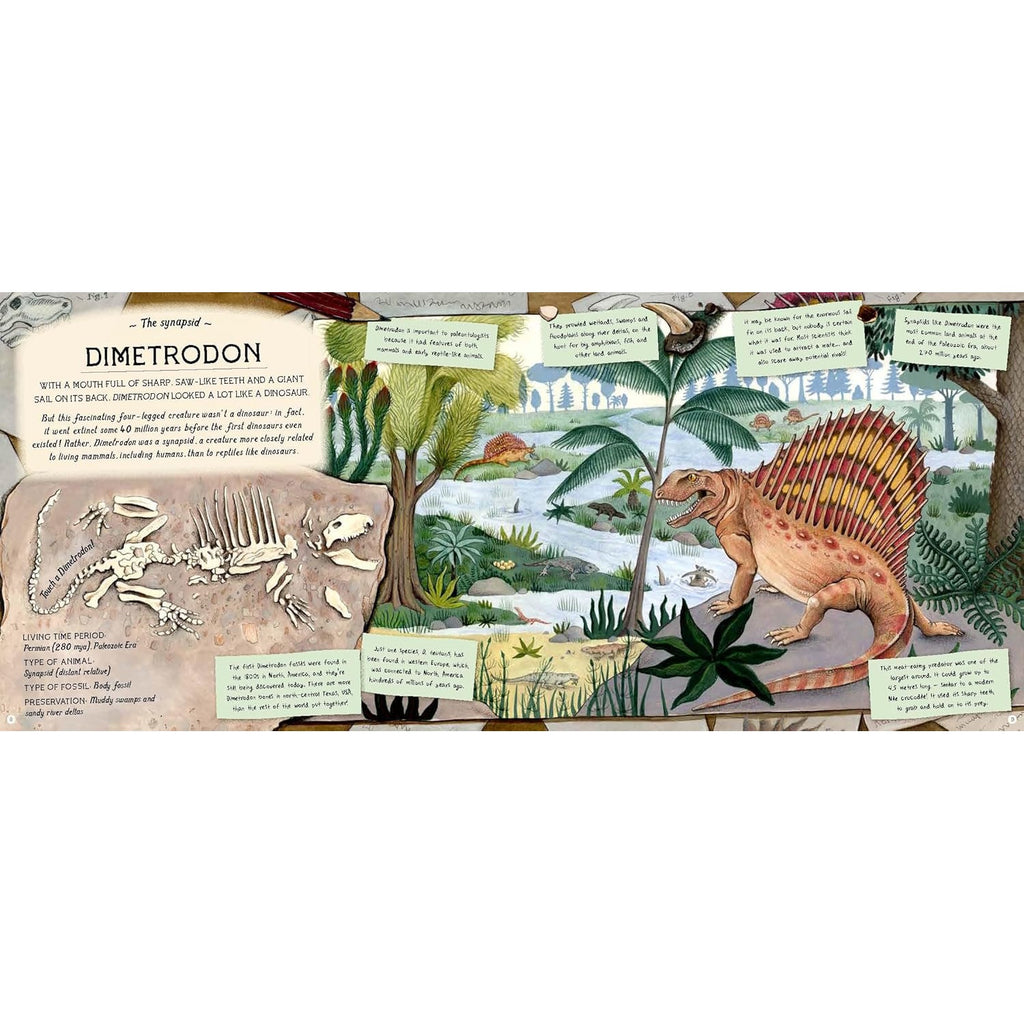 An adventurous and educational book that takes young readers on a journey through time, uncovering fascinating facts about fossils, dinosaurs, and ancient life.