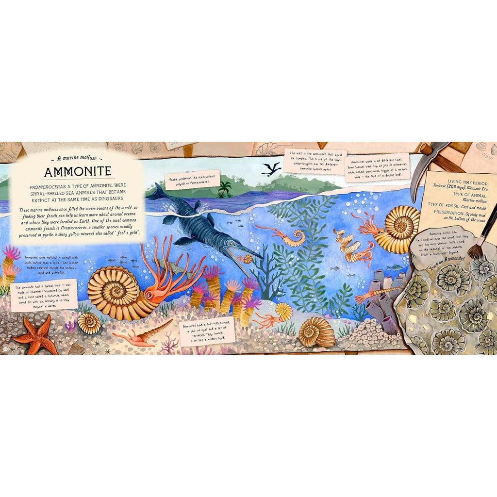 An adventurous and educational book that takes young readers on a journey through time, uncovering fascinating facts about fossils, dinosaurs, and ancient life.