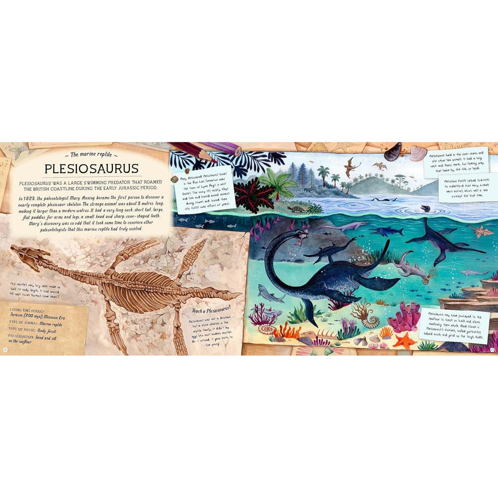 An adventurous and educational book that takes young readers on a journey through time, uncovering fascinating facts about fossils, dinosaurs, and ancient life.