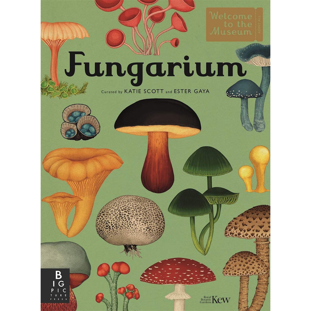 Illustrated book cover titled "Fungarium" features diverse, colorful mushrooms on a green background, conveying a sense of scientific curiosity and wonder.