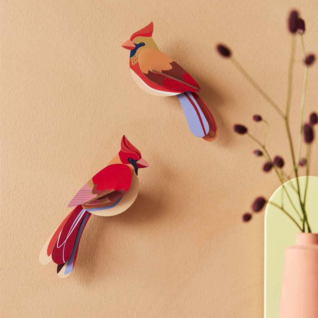 Two colorful paper cardinals are mounted on a peach wall. A vase with delicate branches is in the foreground, creating a cozy and artistic atmosphere.