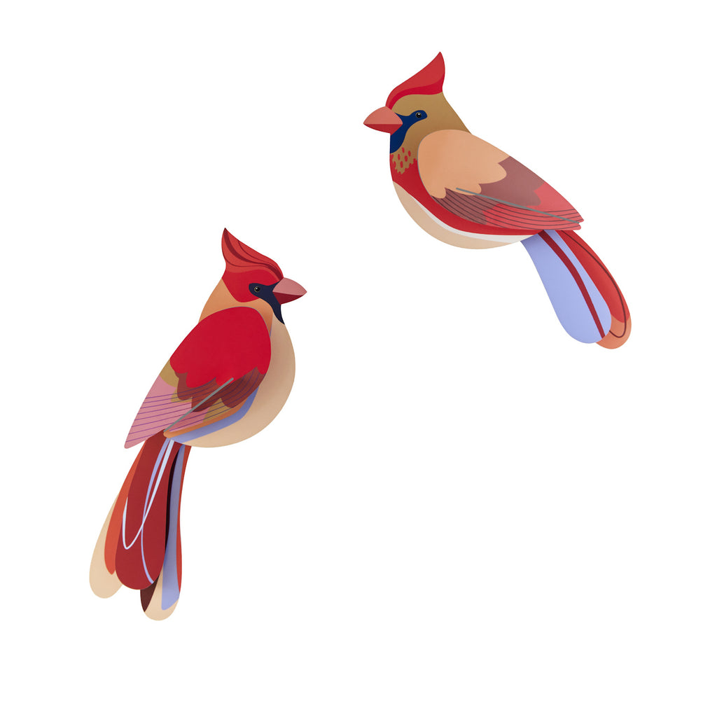 Two stylized cardinals with bold red and tan bodies perch facing each other on a white background, conveying a serene and artistic tone.