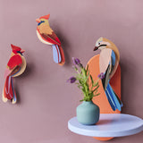 Studio Roof Garden Birds Cardinals