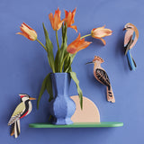 Studio Roof Garden Birds Woodpecker