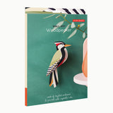 Studio Roof Garden Birds Woodpecker