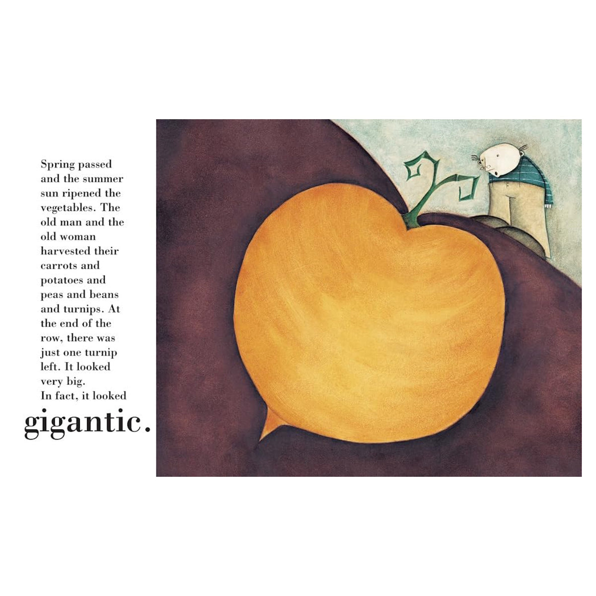 Illustration of a man looking at an enormous yellow turnip in a field, from the children's book The Gigantic Turnip.