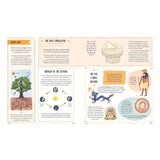 Educational book spread about the Sun’s history and science featuring illustrations of sundials, dragons, and gods.