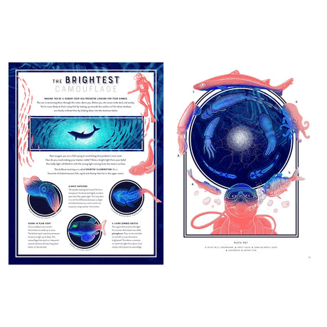 Educational book spread about counter-illumination in sea creatures featuring bioluminescent fish and a deep-sea diver.
