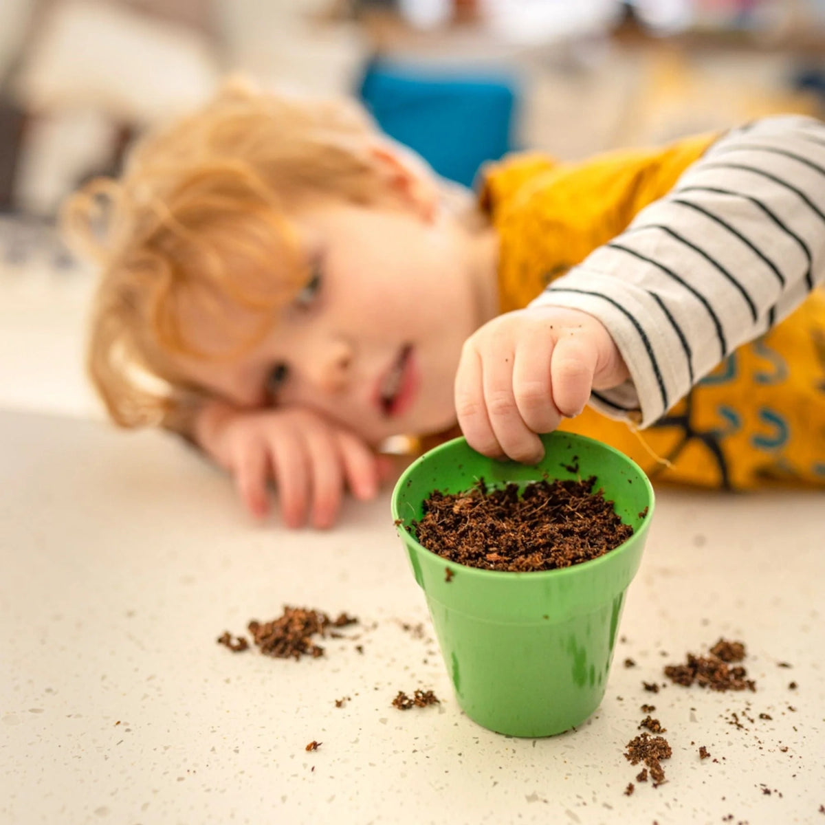A blond child touches the soil in a small green pot, with dirt scattered on the surface.