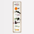 Meri Meri Halloween hair clip set featuring eight themed clips arranged in narrow boxed packaging.