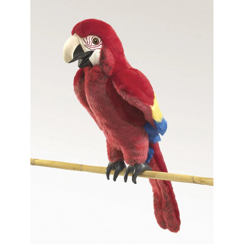 A vibrant red parrot with yellow and blue wings perches on a thin bamboo stick against a plain background, conveying a sense of vivid, tropical beauty.
