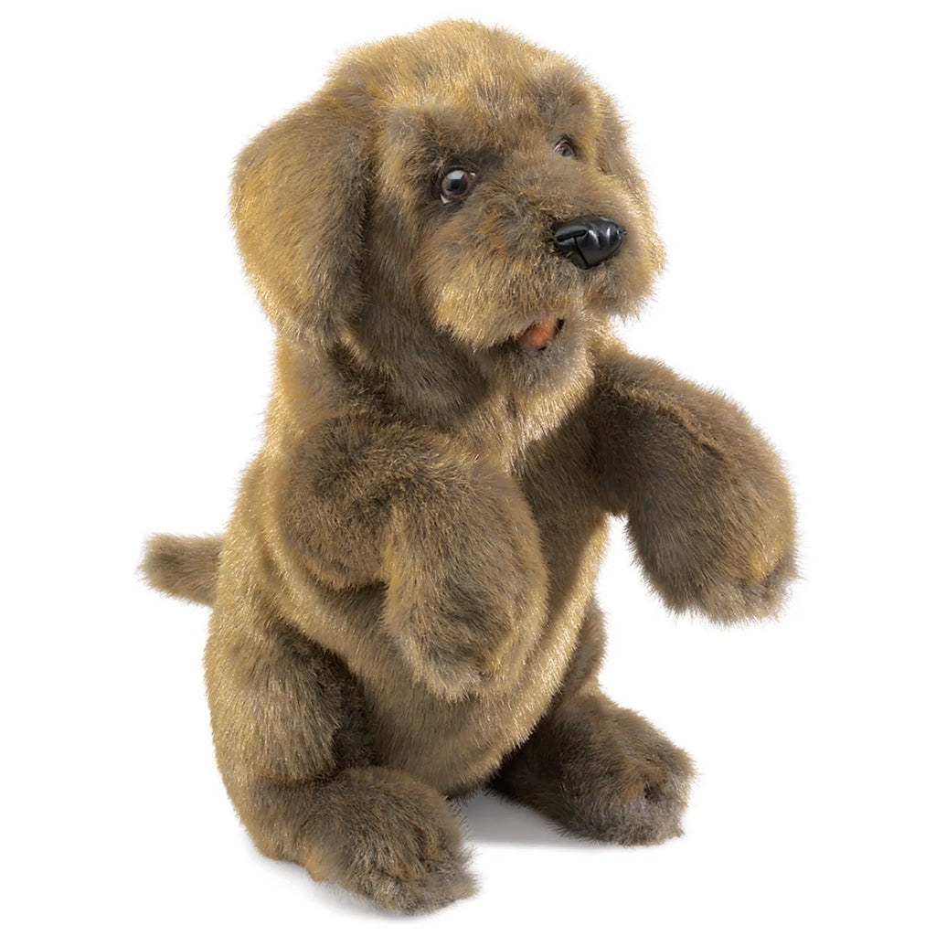 Realistic, fluffy brown dog puppet with expressive eyes and floppy ears, sitting upright with front paws lifted. The tone is playful and inviting.