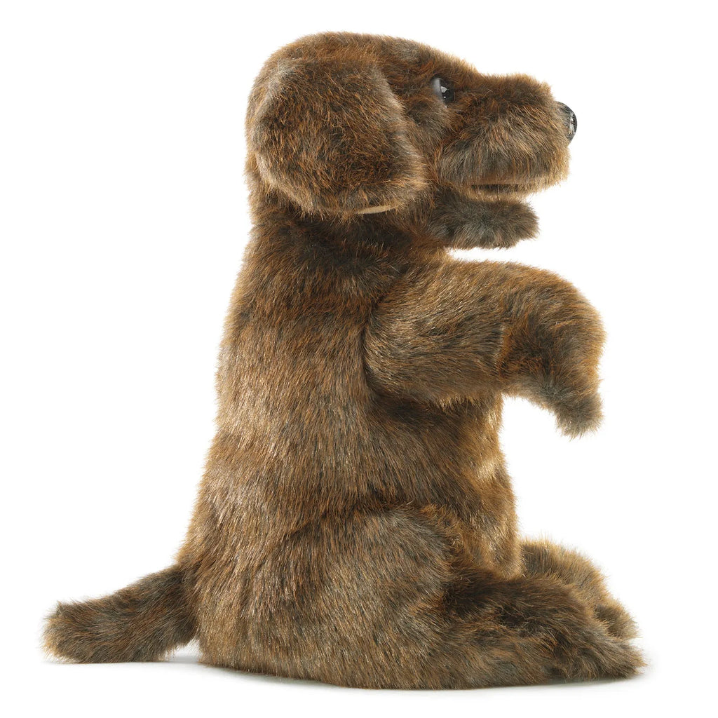 Realistic, fluffy brown dog puppet with expressive eyes and floppy ears, sitting upright with front paws lifted. The tone is playful and inviting.