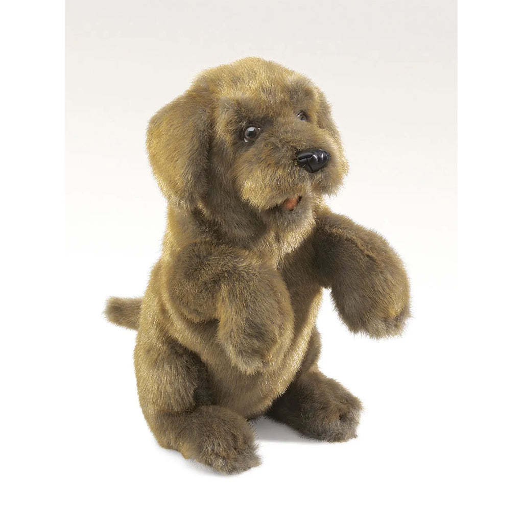 Realistic, fluffy brown dog puppet with expressive eyes and floppy ears, sitting upright with front paws lifted. The tone is playful and inviting.