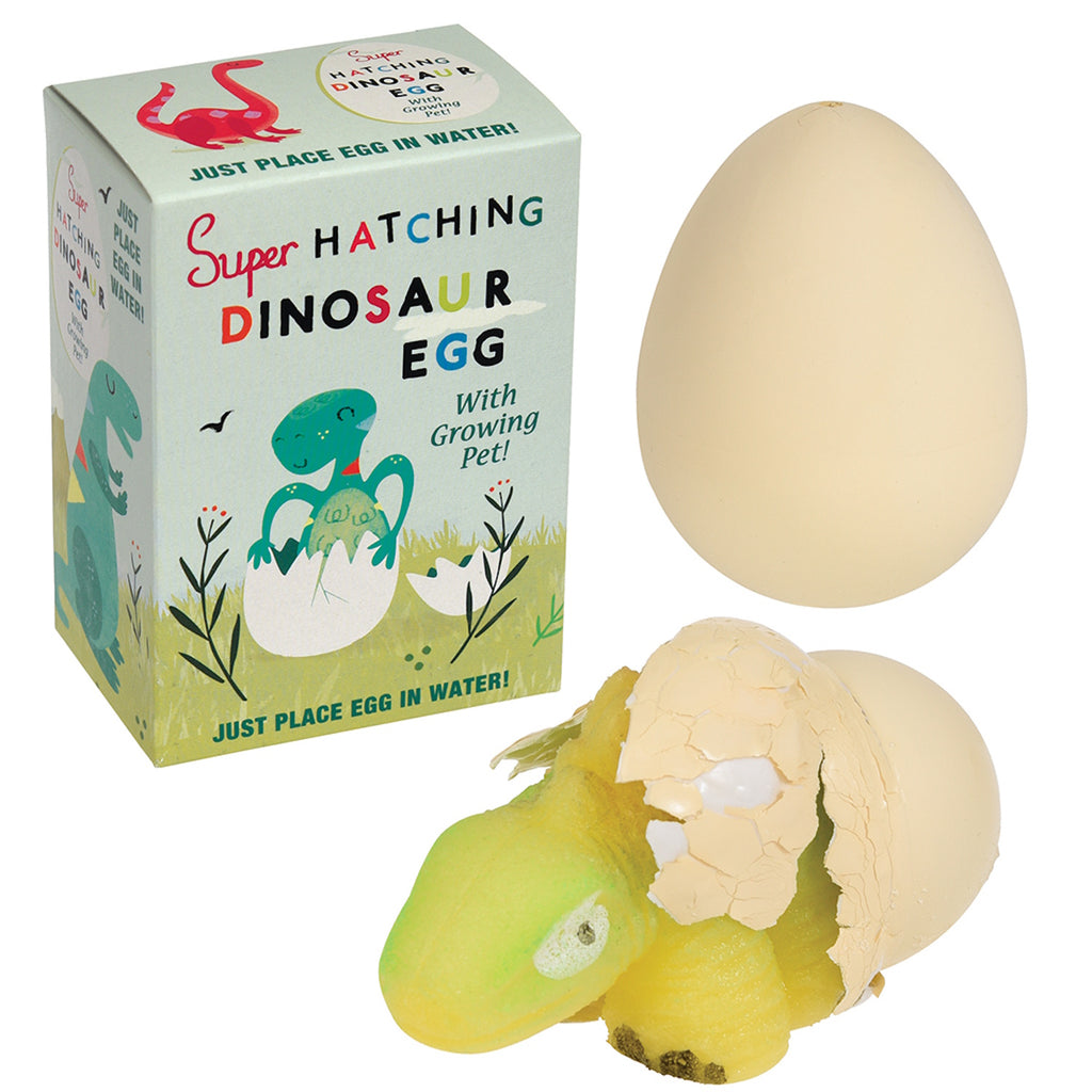 A hatching dinosaur egg toy set, featuring a green dinosaur emerging from a cracked egg, next to its colorful packaging.