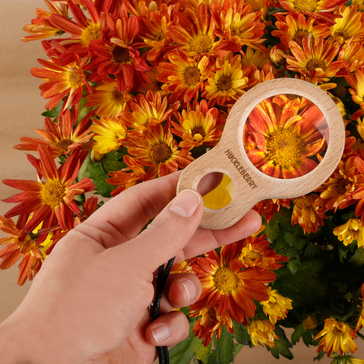 A hand holding a Huckleberry wooden dual magnifier over orange chrysanthemum flowers to show detailed petal zoom.