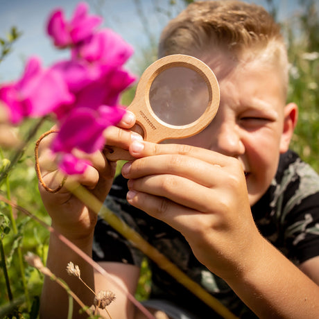 A child using a wooden Huckleberry dual magnifier to inspect vibrant pink flowers in a sunny outdoor field.