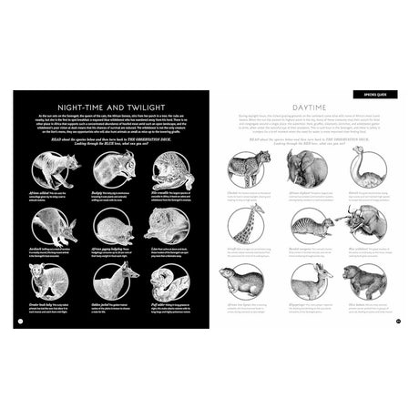 Illustrated African wildlife species guide showing night-time and daytime animals with black and white sketches.