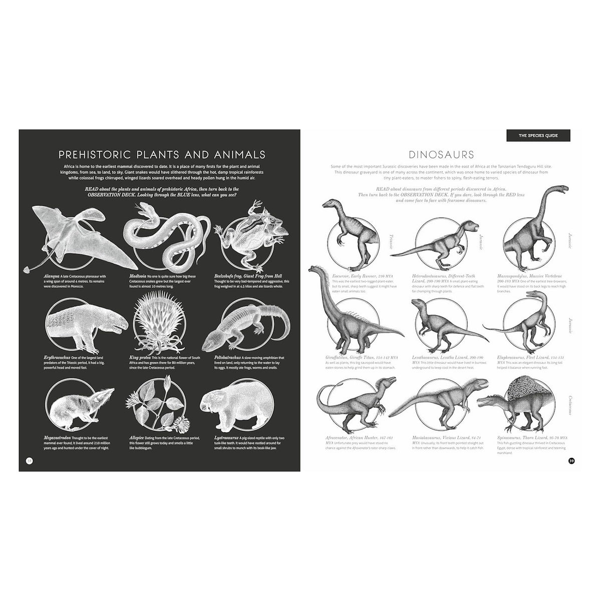 Illumipedia book pages showing prehistoric plants, animals, and dinosaur species guide with detailed black and white sketches.
