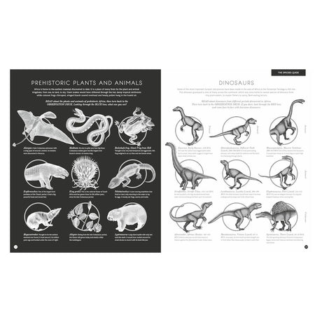Illumipedia book pages showing prehistoric plants, animals, and dinosaur species guide with detailed black and white sketches.