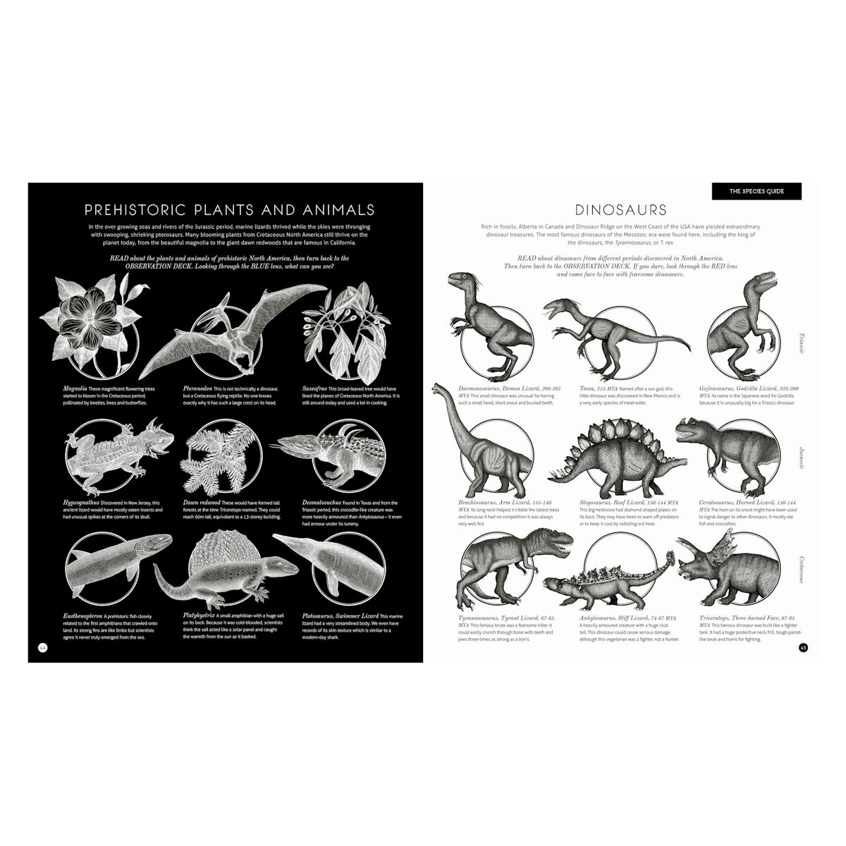 Two-page spread: left page features detailed black and white illustrations of prehistoric plants and animals on a black background. Right page showcases various dinosaur sketches with descriptions, labeled with scientific names on a white background. The tone is educational and informative.