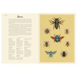 Scientific vintage-style illustration of eight diverse bee species on a yellow background with descriptive text.