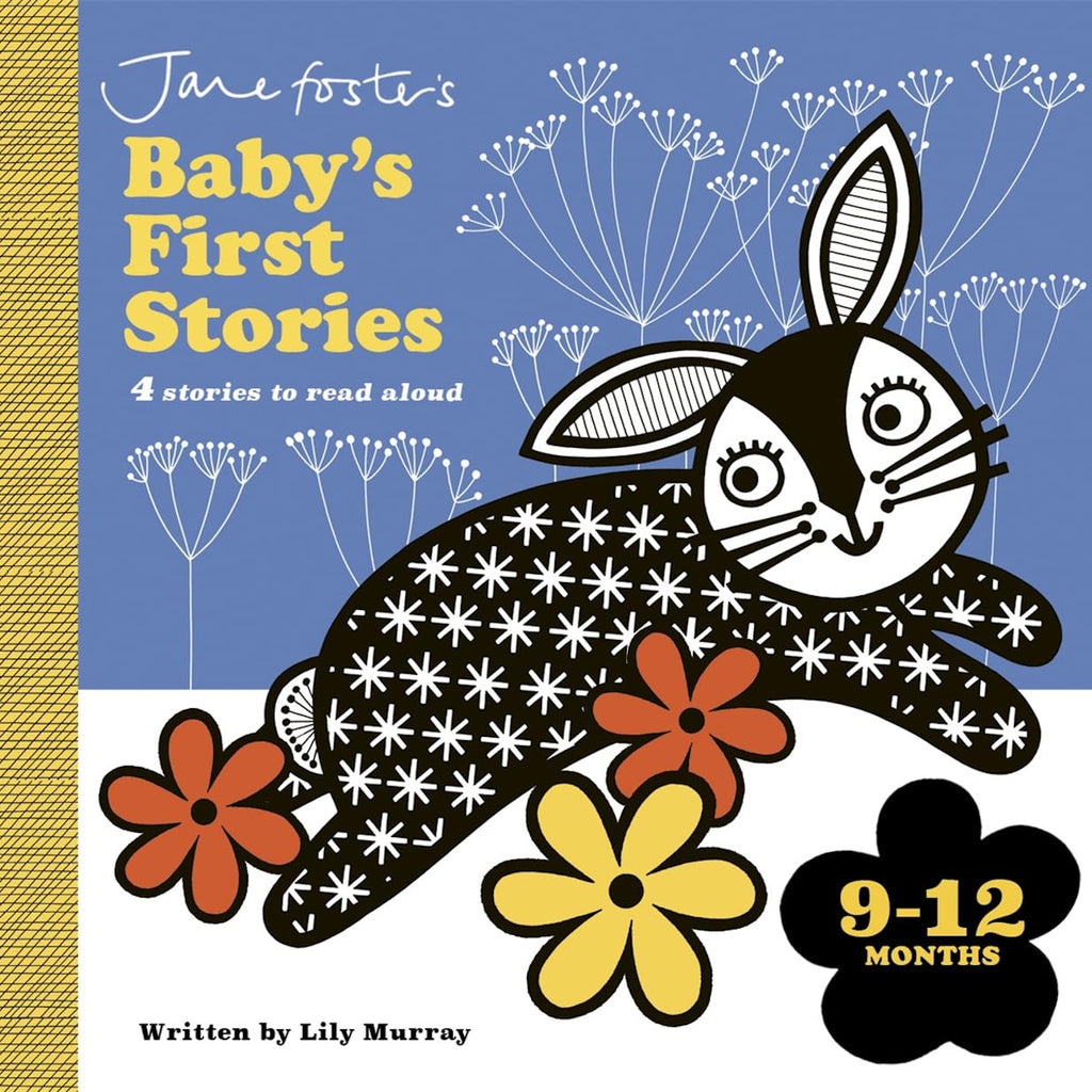 A visually engaging board book designed to support babies’ development, featuring bold illustrations and simple stories tailored for the 9–12 month age range.