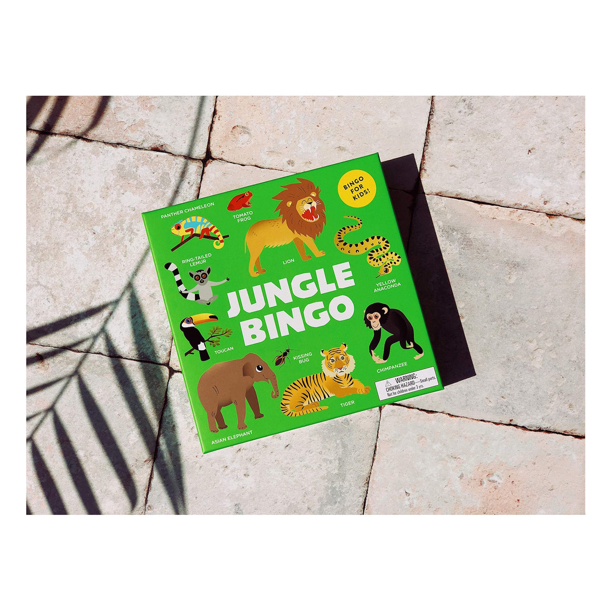 Green "Jungle Bingo" game box on stone tiles, featuring illustrated animals like a lion, tiger, and toucan. Nearby shadows cast a playful tone.