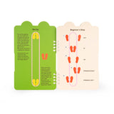 Open book with green and beige pages. Left page shows a yellow footprint diagram with elastic band setup. Right page details beginner's steps for a jumping game.