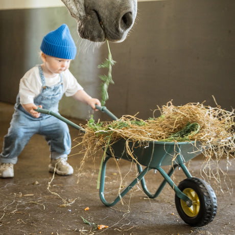 Toddler in denim overalls and a bright blue beanie pushing a green wheelbarrow filled with hay toward a horse.