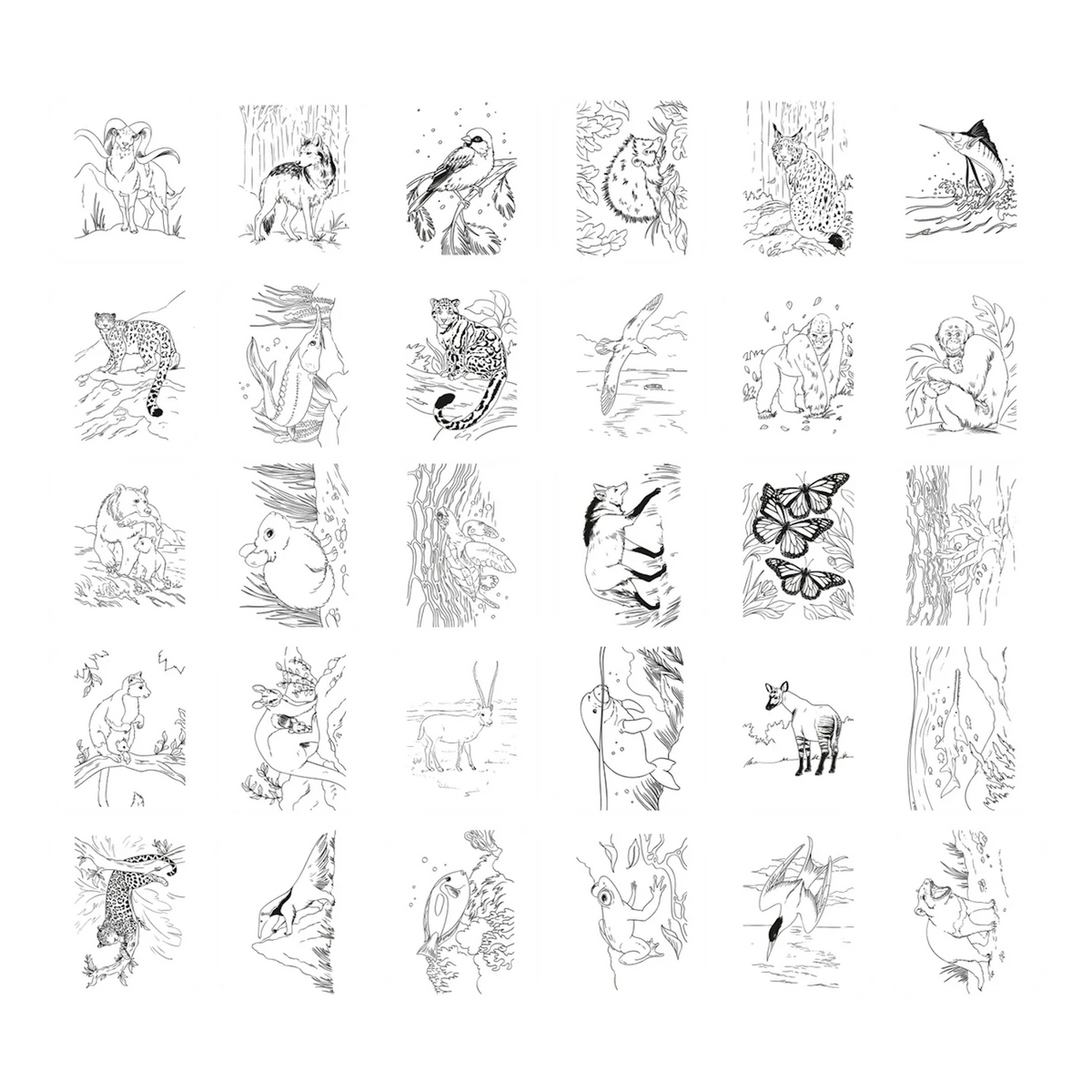 Grid of 30 square cards with black-and-white line drawings of various wild animals and insects.