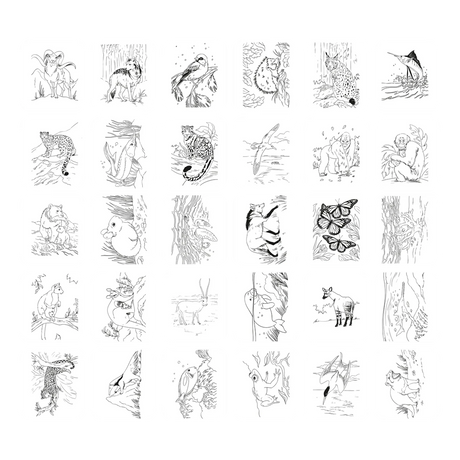 Grid of 30 square cards with black-and-white line drawings of various wild animals and insects.