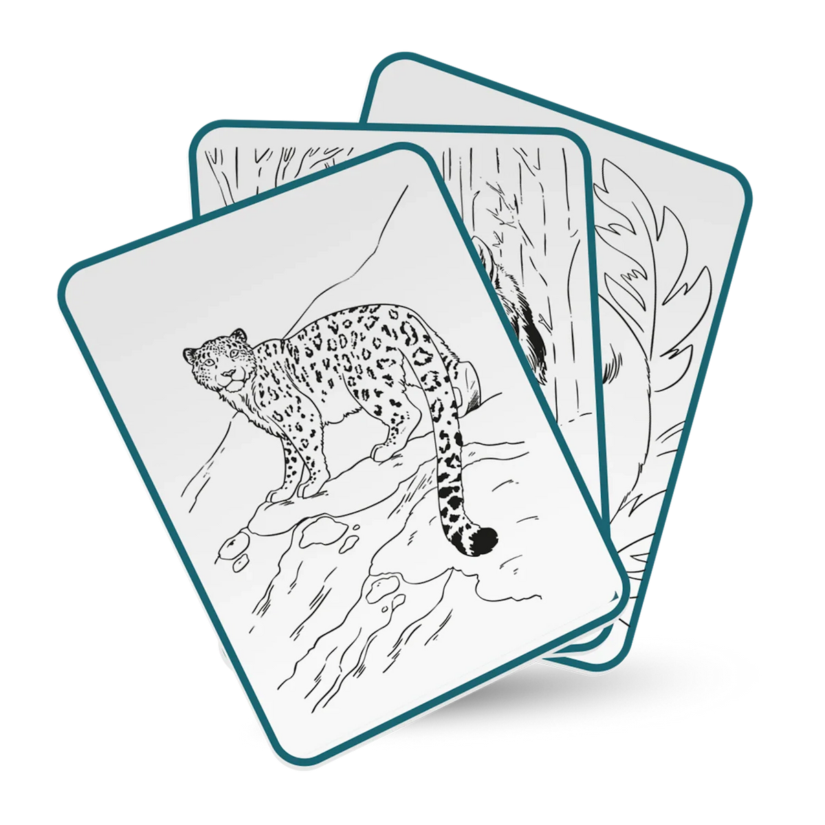 Three drawing cards with black and white animal outlines, featuring a detailed leopard on the front card.