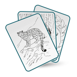 Three drawing cards with black and white animal outlines, featuring a detailed leopard on the front card.