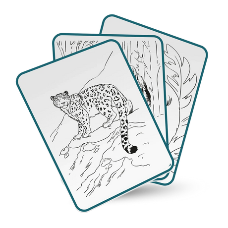 Three drawing cards with black and white animal outlines, featuring a detailed leopard on the front card.