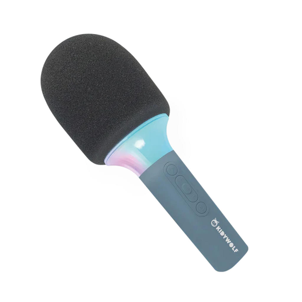 A black foam-tipped microphone with a blue handle, featuring a logo and control buttons. It sits at an angle on a white background.