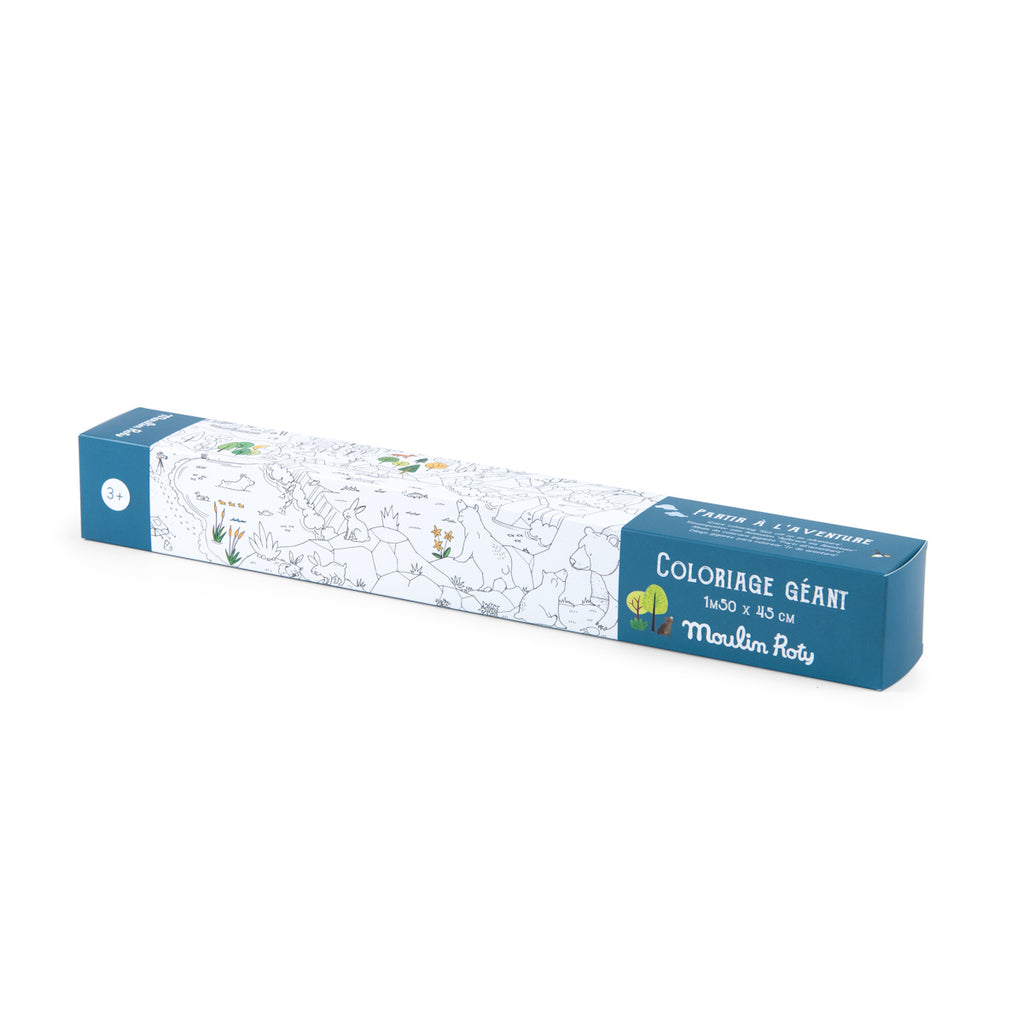 A long, rectangular box with a blue edge and colorful tree illustrations, labeled "Coloriage géant." The box shows outlines of animals and plants.