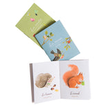 Moulin Roty Le Jardin du Moulin storybook torch mini booklets open to hedgehog and squirrel illustrated nature pages.