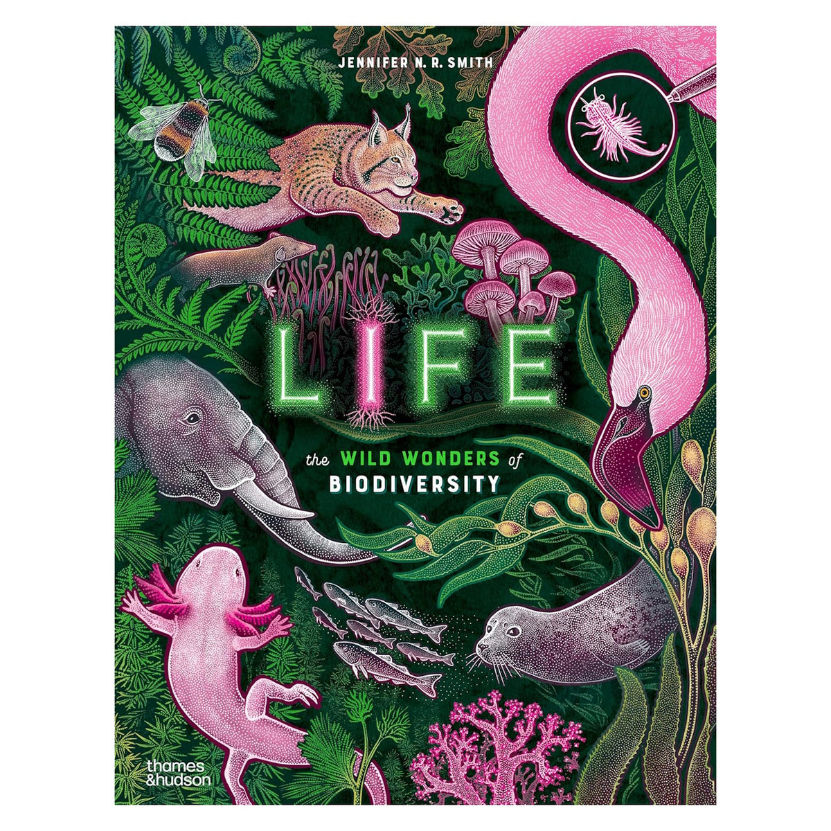 Life: The Wild Wonders of Biodiversity book cover featuring colorful illustrations of animals and plants on a dark green background.