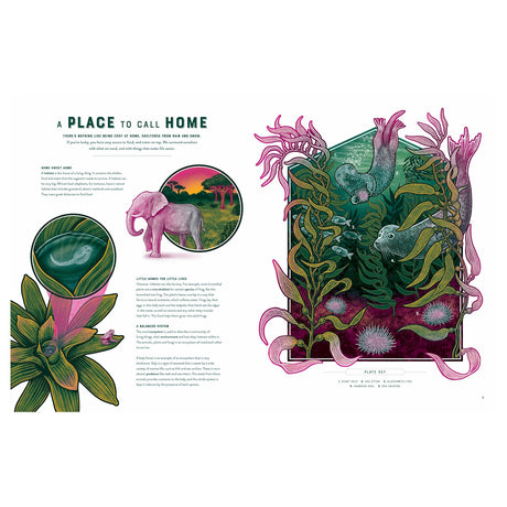Illustrated book spread about biodiversity featuring an elephant, kelp forest, sea otter, and harbor seal.