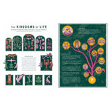 Infographic showing the five kingdoms of life, vertebrate and invertebrate categories, and a phylogenetic evolutionary tree.