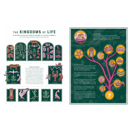 Infographic showing the five kingdoms of life, vertebrate and invertebrate categories, and a phylogenetic evolutionary tree.