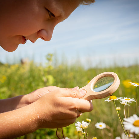 Child using a wooden dual magnifier to inspect a daisy in a sunny field.
