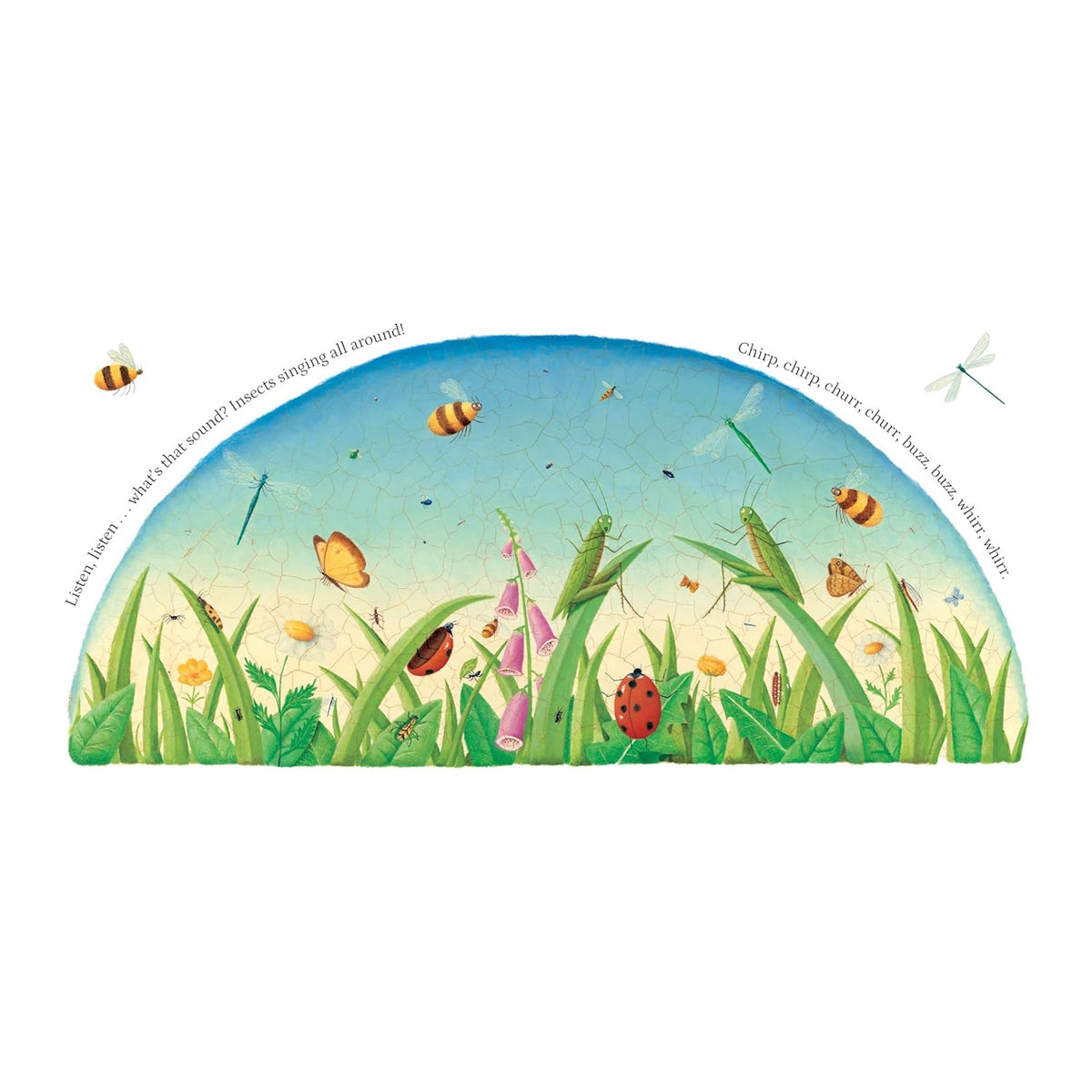 Illustration of various colorful insects like bees, ladybugs, and grasshoppers in a lush green meadow with wildflowers.
