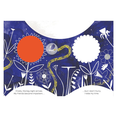 Children’s book illustration of white line-art flowers and an orange sun against a deep blue, starry night sky.