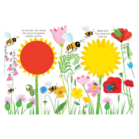 Colorful children's book illustration of sunflowers, bees, and ladybugs in a bright garden with "Little Seed" story text.