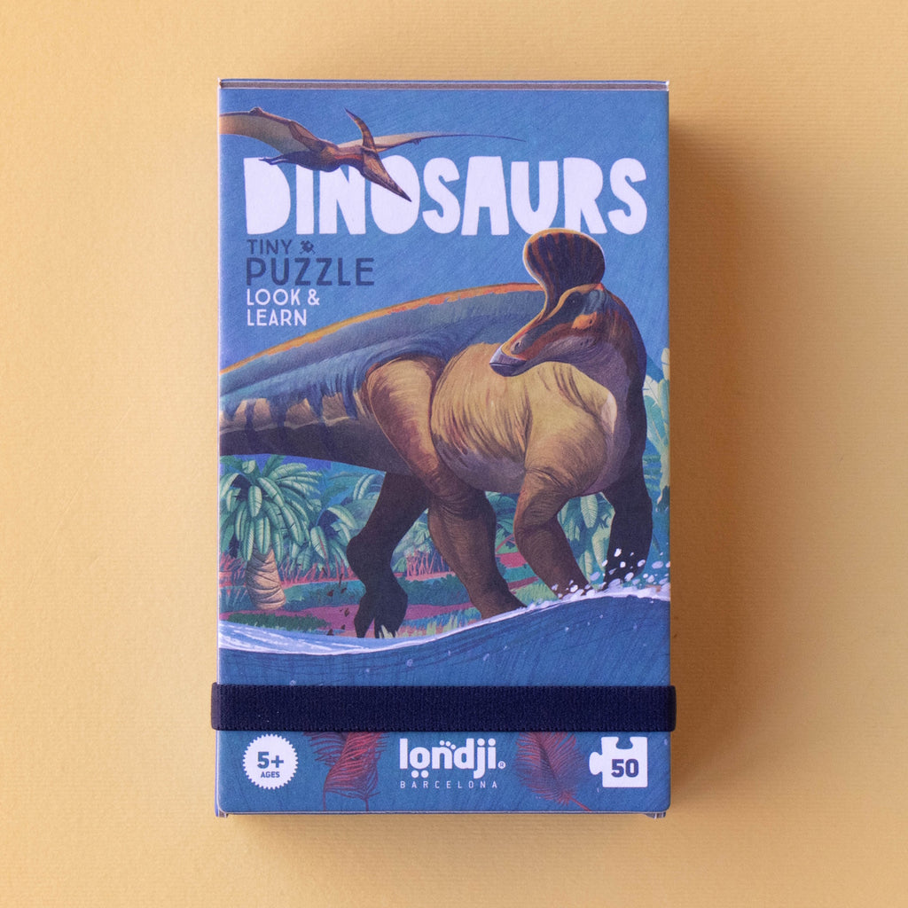 Box of a dinosaur-themed puzzle for ages 5+. Features a dinosaur and flying reptile illustration with tropical plants, set against a vibrant blue background.