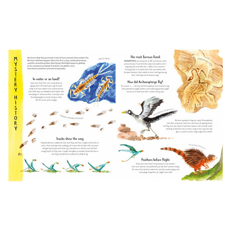 Educational book spread about the history of flight, featuring Archaeopteryx fossils and illustrations of early dinosaurs.
