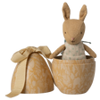 A small, brown plush bunny wearing a polka-dotted outfit sits inside an open, decorative beige egg with floral patterns and a ribbon, against a white background.